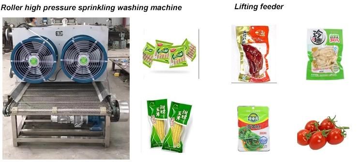 Bag Washing Machine Soft Packaging Cleaning Machine