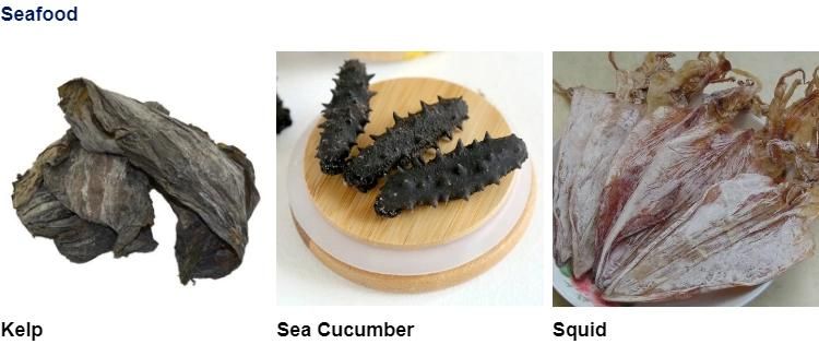 Industrial Hot Air Dryer for Food