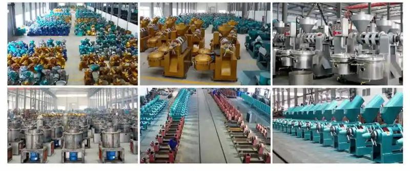 Spiral Oil Press Edible Oil Device of Production Grain Sunflower Seed Oil Making