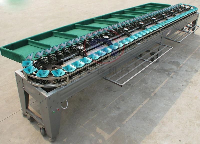 High Efficiency Automatic Tomato Potato Weight Sizer Sorting Grader Machine