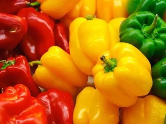 Vegetable Washing Machines Line Capsicum Washing and Drying Machine