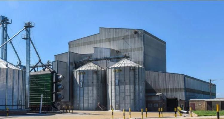 500t/24h Wheat Flour Mill Plant Good After Sales Service Flour Milling