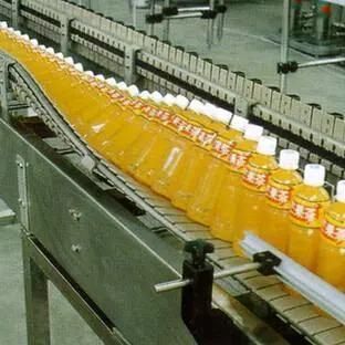 Berries Juice Automatic Production Line