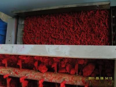 Pigment Dedicated Belt Dryer