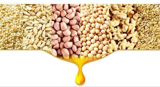 Peanut Oil Press Machine Screw Oil Press Oil Refining Plant