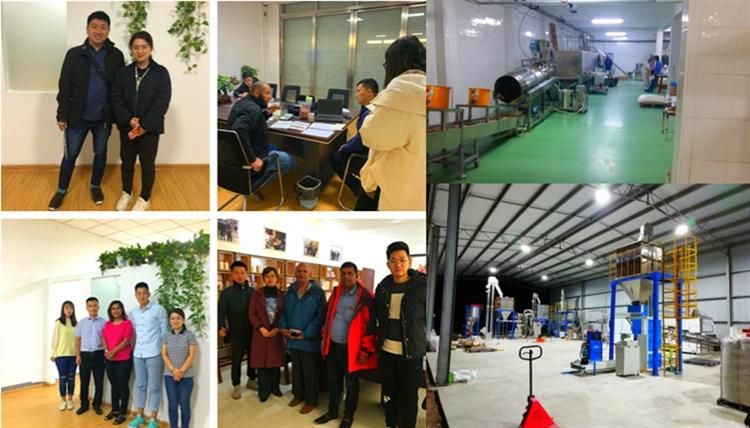 Artificial Rice Nutrition Rice Making Machine Frk Production Line