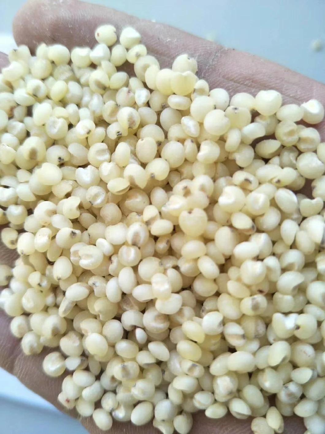 Clj Brand Quinoa Processing Professional Auto Rice Mill Machine in Egypt