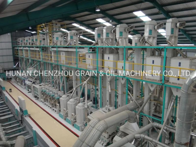 Clj Manufactured Grain Processing Machinery Tqsx 120/120 Suction Type Double Layer Vibratory Paddy Rice Destoner Machine