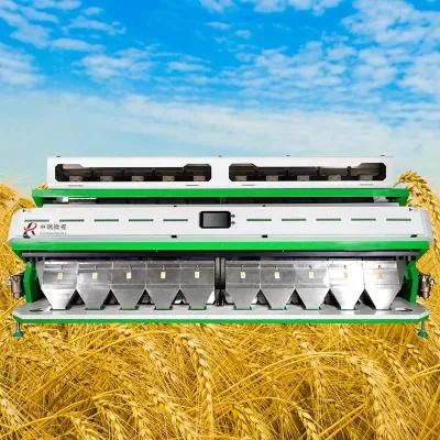 2019 Brown Rice Color Sorter Machine Top Sale in China