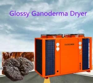 Industrial Food Dehydrator Reasonable Price Fruit Drying Machine Glossy Dryer