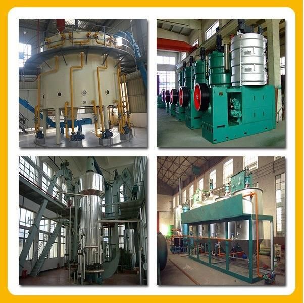 100t/D High Quality Rice Bran Oil Production Line/Oil Press Machine