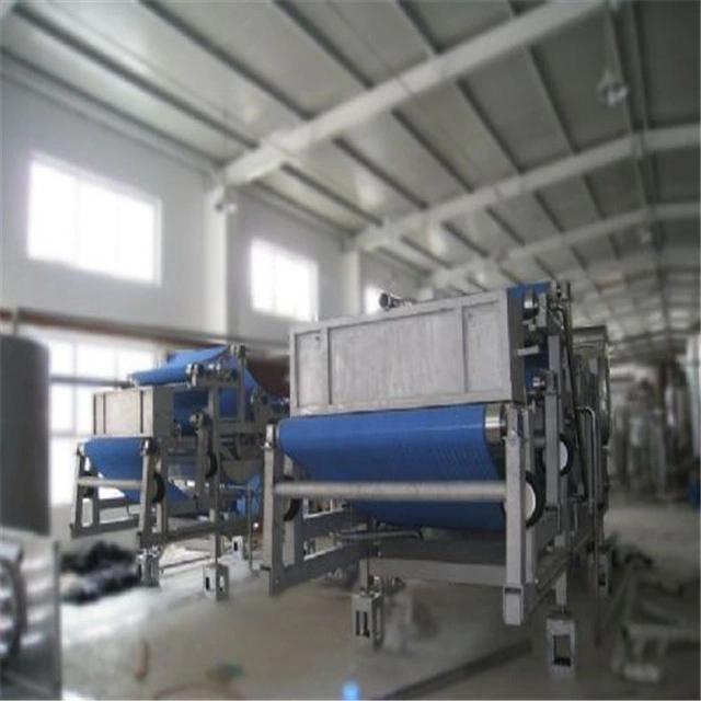 Small Scale Complete Pomegranate Juice Concentrate Process Plant