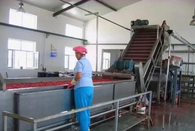 Fully Automatic Tomato Ketchup Production Line