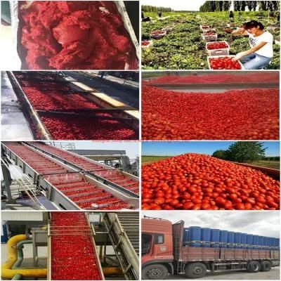 1t/Hr Tomato Paste Mixing Production Line
