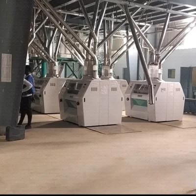 PLC Control Complete 150t/24h Maize Milling Machines