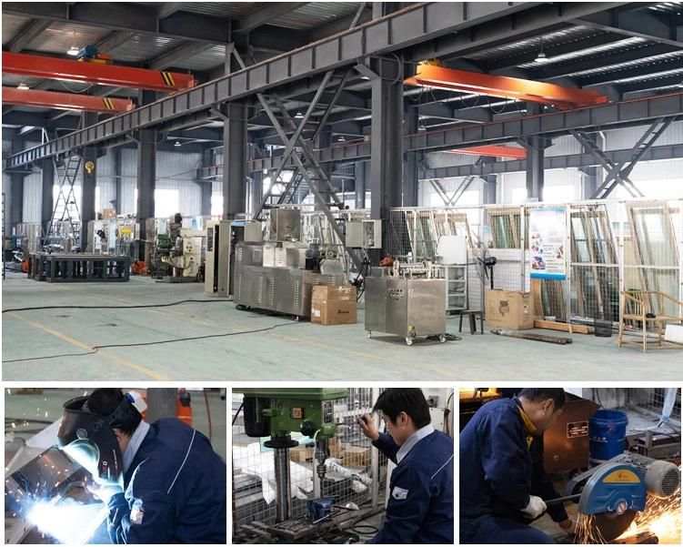 Industrial Single Screw Snack Food Extruder Machine