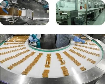 Candy Bar Produciton Line (Turkey Project)