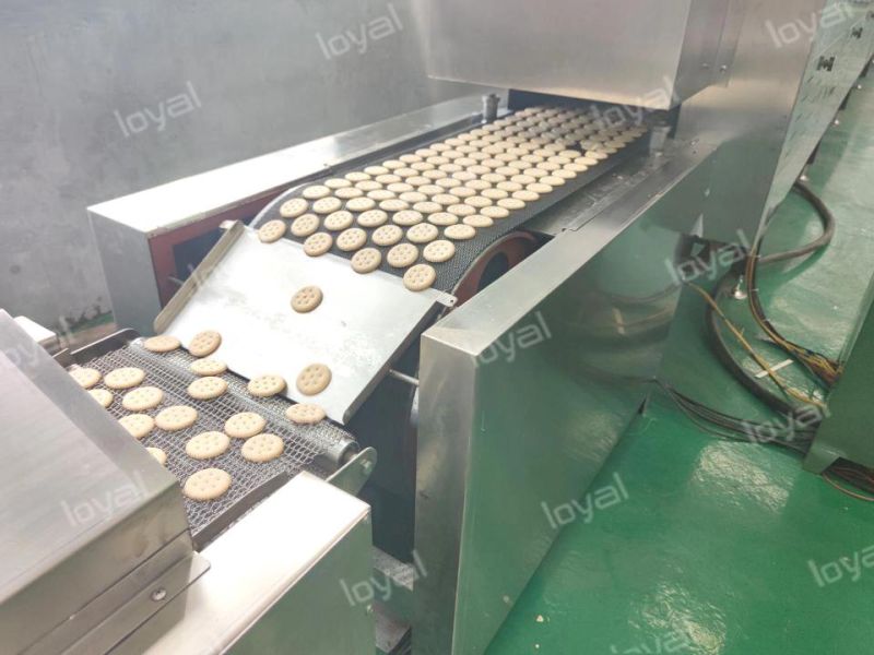 Automatic Soft and Hard Biscuit Machine Biscuit Processing Machine Biscuit Processing Line