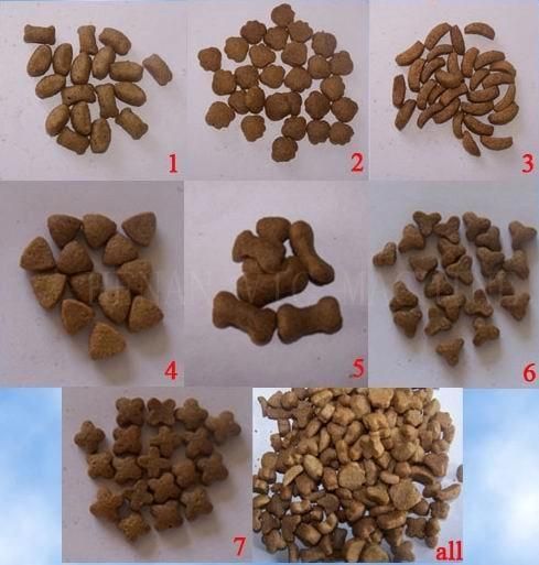 40kg/h most stable feed extruder floating fish feed pellet machine