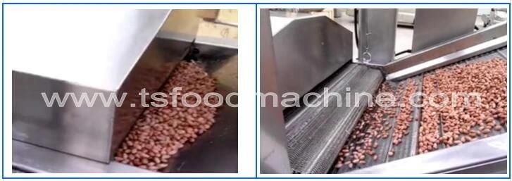 Auto Crispy Onion Fryer and Frying Machine with Continuous Filtration System