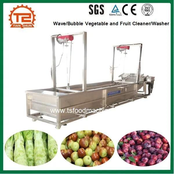 Wave/Bubble Vegetable and Fruit Cleaner/Washer