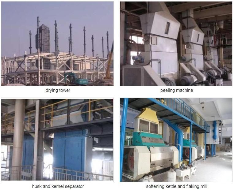 Soybean White Flake Machine Plant Production Line with ISO 9001