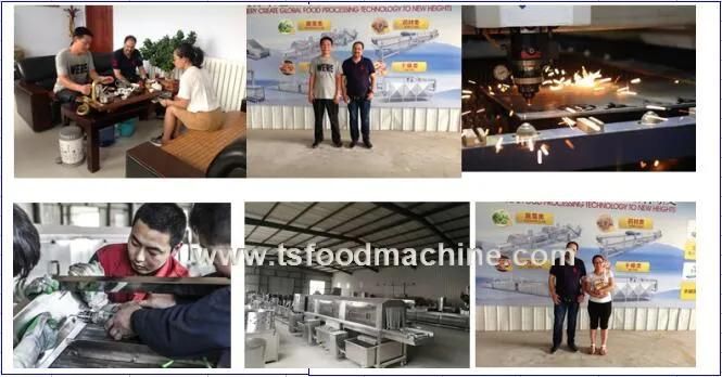 Big Food Factory Use Fruit and Vegetable Plastic Tray Washing Machine