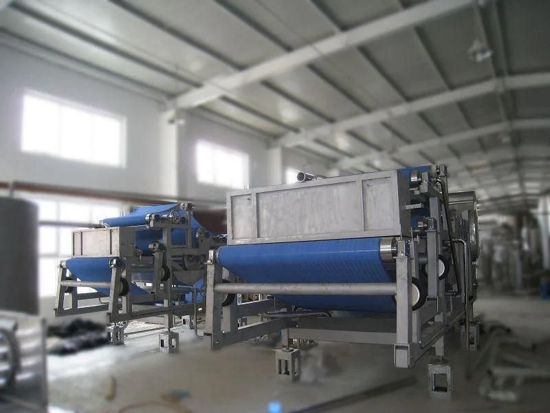 Shanghai Full Aotumatic Mango Juice Processing Machine