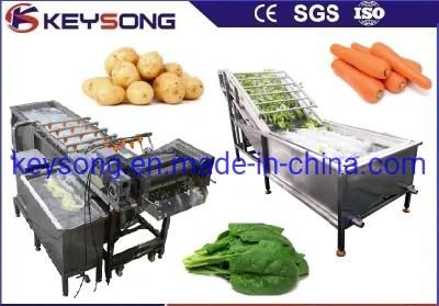 Fresh Vegetable Dehydrated Equipment Vegetable Washing Machinery