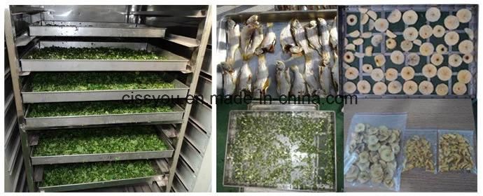 Electrical or Gas Heat Fruit Fish Food Dryer Drying Machine