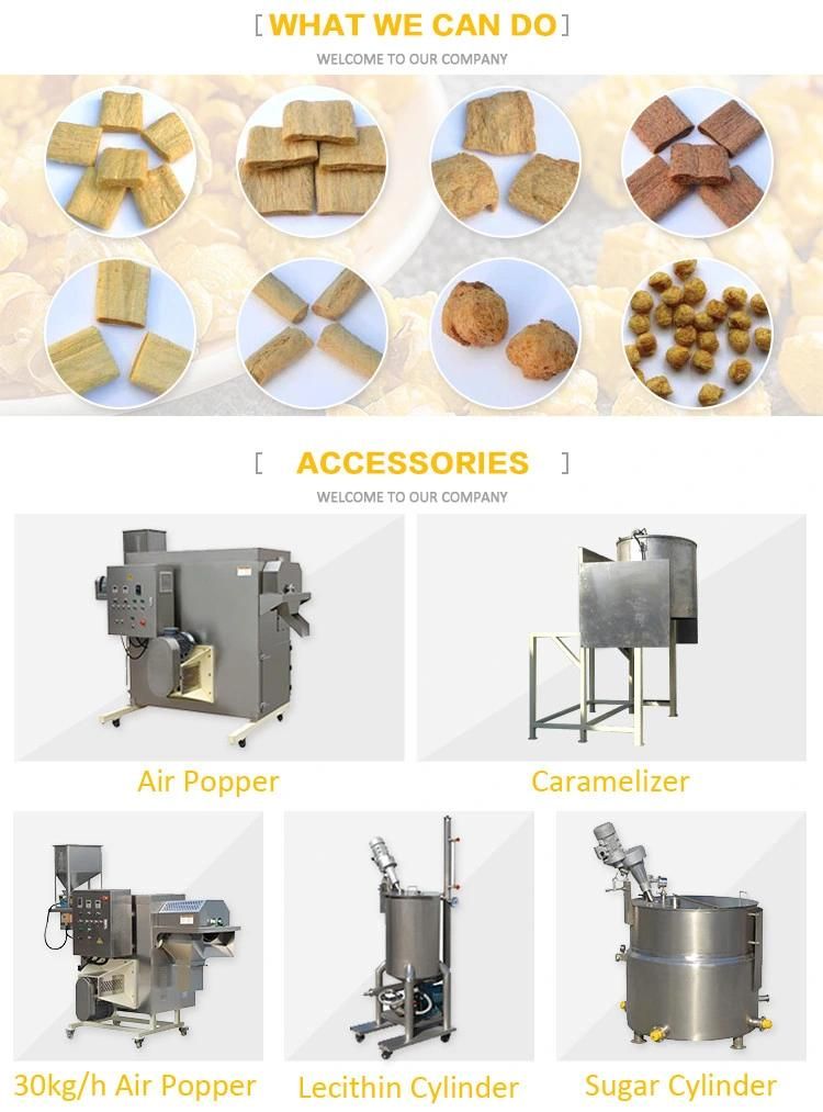 Automatic Snack Food Machine Processing Meat-Like Plant Protein Processing Line