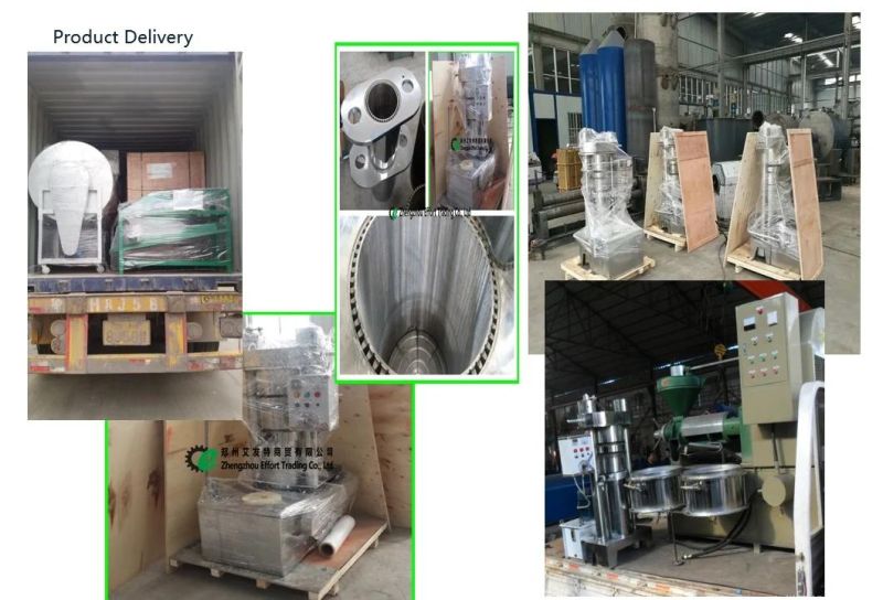 Top Quality SS304 Hydraulic Oil Press Used for Sesame/Peanuts/Nuts/Pumpkin Seeds