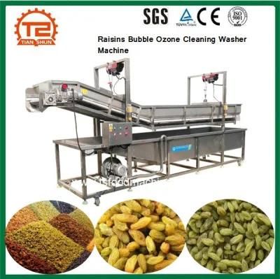 Fruit Processing Equipment Raisins Bubble Ozone Cleaning Washer Machine for Sale