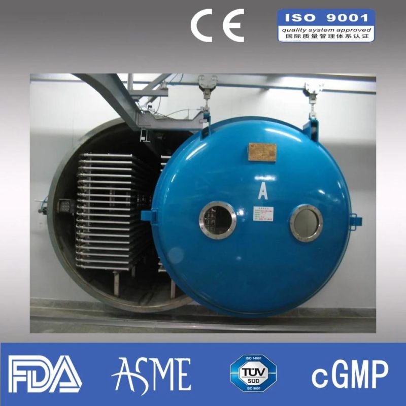 China Ce & ISO Certified Lyophilizer Vacuum Freeze Dryer