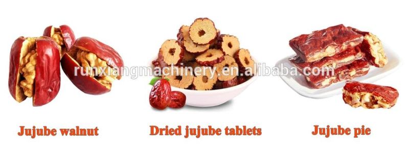 Fruit Seed Removing Date Apple Pear Apricot Cherry Pit Remove Olive Pitting Pitter Processing Machine