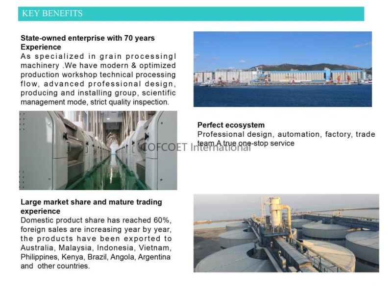 Global 500 Cofcoet Wheat Maize Rice Flour Complete Production Line
