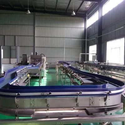 Figs Fresh Juice Full Automatic Production Line