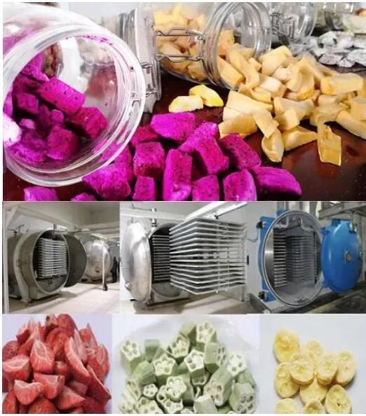 Batch Freeze Drying Machine High-Volume Continuous Processing Line
