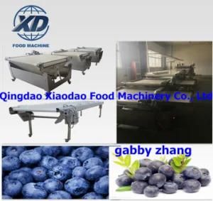 Industrial Blueberry Grading Sorting Machine