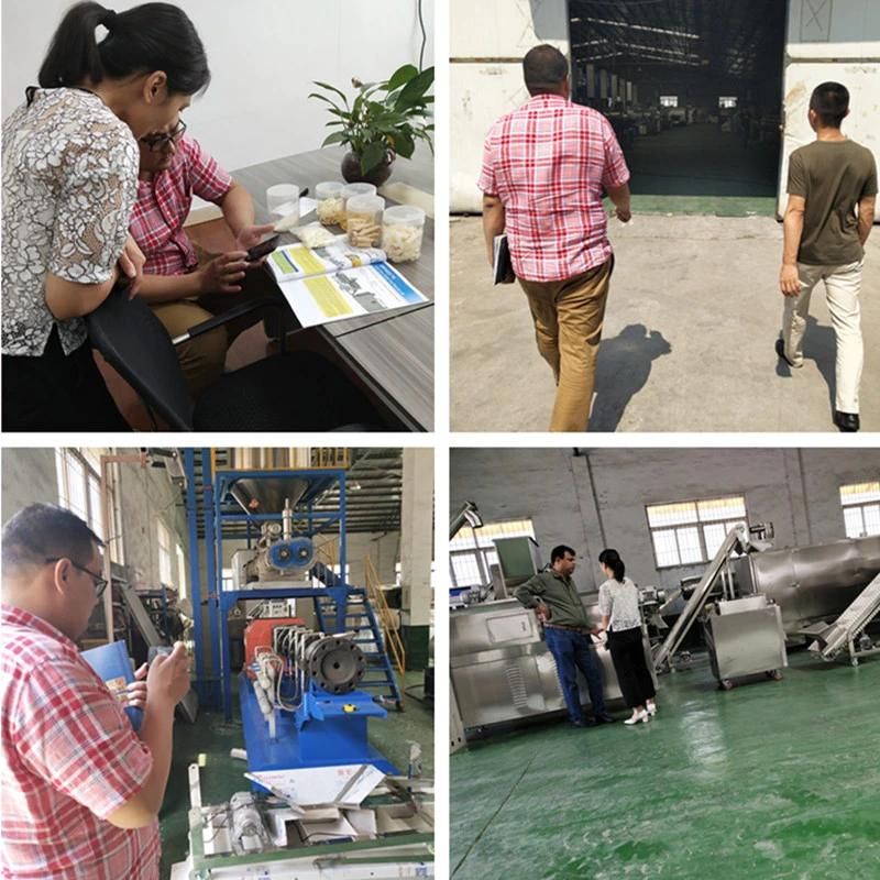 Competitive Textures Soya Protein Food Machine