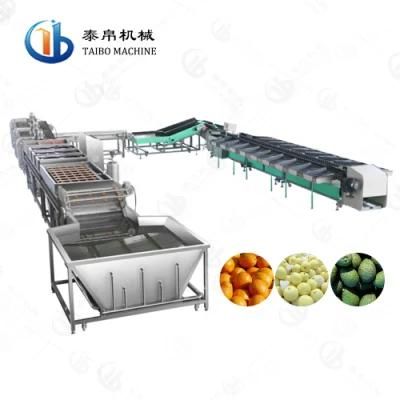 SUS304 Stainless Steel Lemon Washing Waxing Weight Sorting Line for Factory