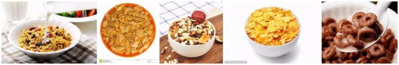 China Automatic Extrusion Breakfast Flakes Food Maker