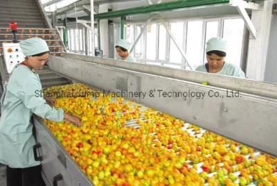 Processing Line for Clarified Apple Juice Tetra Pak Whole Project Machines