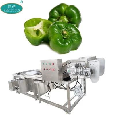 Commerical 380V Bell Pepper Chilli Bubble Washer and Cleaner Washing Machine