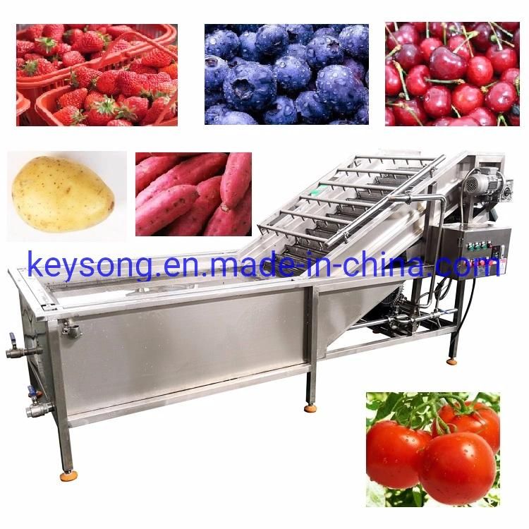 Restaurant Food Fruit Vegetable Processing Washing Sorting Grading Machinery