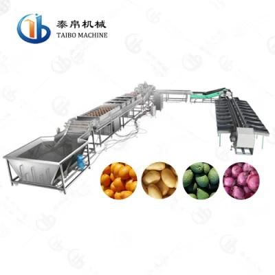 Industrial SUS304 Fruit Washing Waxing Weight Sorting Line for Factory