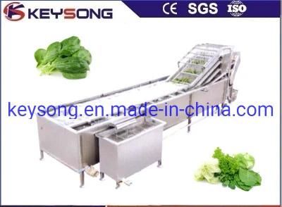 Food Machinery Fruit Vegetable Spinach Washing Machine