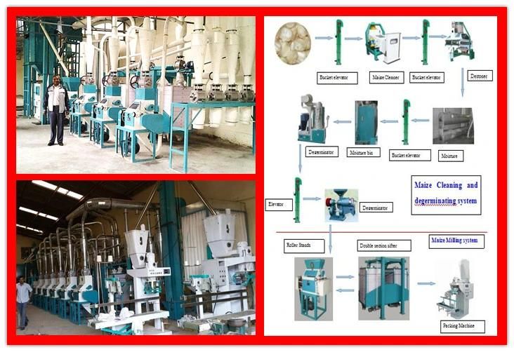 10t 20t 30t 50t 100t Maize Wheat Corn Flour Mill Grinding Grits Processing Machine