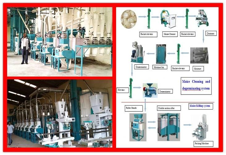 10t 20t 30t 50t 100t Maize Wheat Corn Flour Mill Grinding Grits Processing Machine