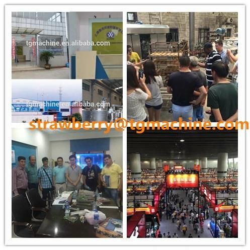 Made in China High Chewy Gum Practical and Chewy Gum Making Line